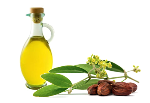 tinh dầu jojoba